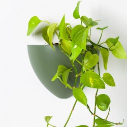 Botaniq Flowerpot Green