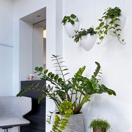 Artiteq 7600.110 Botaniq 1,25L white hanging plant pot to hang plants on your wall from your picture hanging system