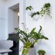 Artiteq 7600.110 Botaniq 1,25L white hanging plant pot to hang plants on your wall from your picture hanging system