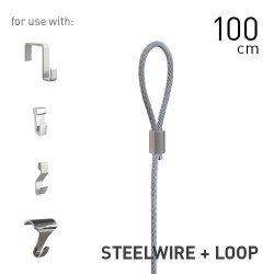 Steelwire 2mm + Loop 100cm