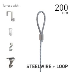 Steelwire 2mm + Loop 200cm