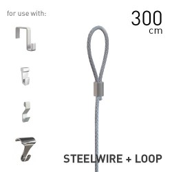 Steelwire 2mm + Loop 300cm