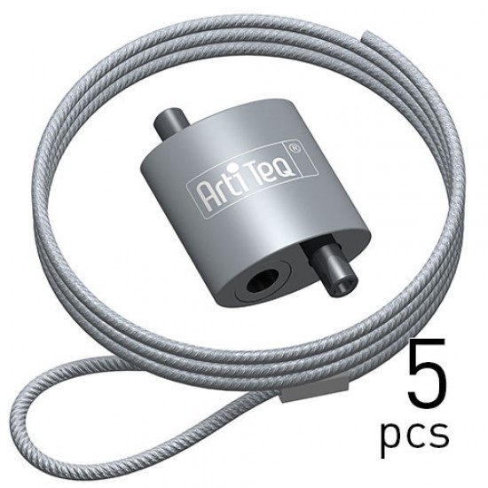 Artiteq Loop Hanger + Steel Cable with Loop Set - 5pcs